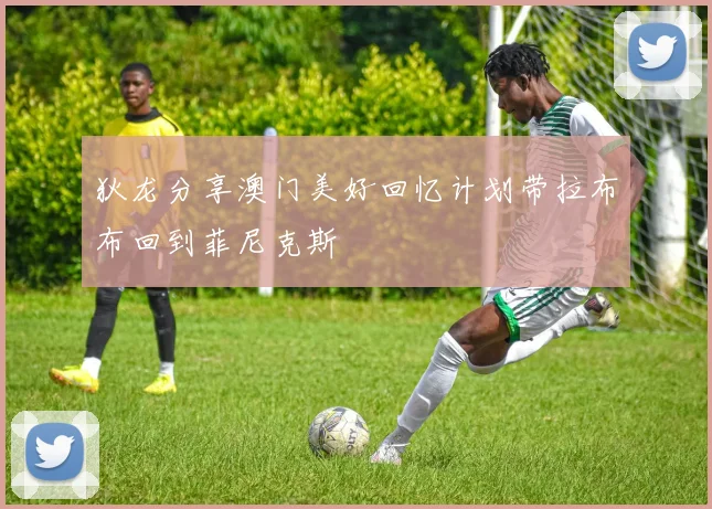 狄龙分享澳门美好回忆计划带拉布布回到菲尼克斯