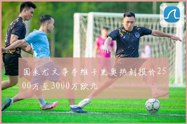 国米尤文争夺维卡里奥热刺报价2500万至3000万欧元